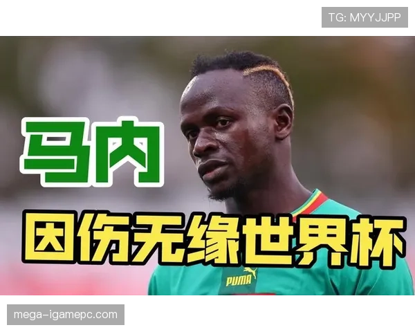 塞内加尔队2026世界杯阵容预测 马内领衔非洲冠军能否再创黑马奇迹